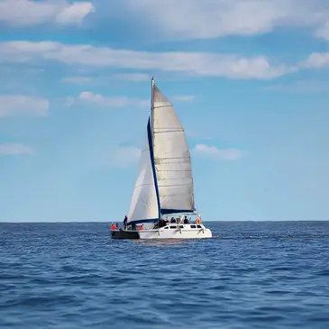 Pêche Sportive à Noirmoutier en région Pays-de-la-Loire