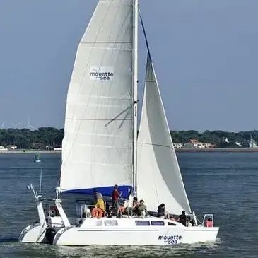 Balade en Catamaran à Noirmoutier Balade en Catamaran à Noirmoutier