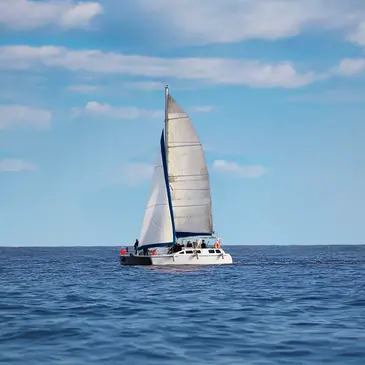 Vendée (85) Pays-de-la-Loire - Sport Aquatique