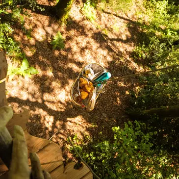 Nivillac, Morbihan (56) - Weekend et Hébergement Insolite Nivillac, Morbihan (56) - Weekend et Hébergement Insolite