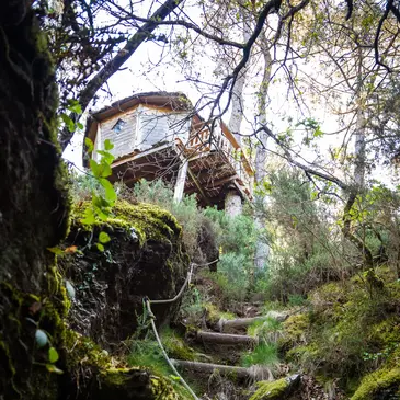 Cabane sur Pilotis avec Spa à Nivillac en région Bretagne Cabane sur Pilotis avec Spa à Nivillac en région Bretagne