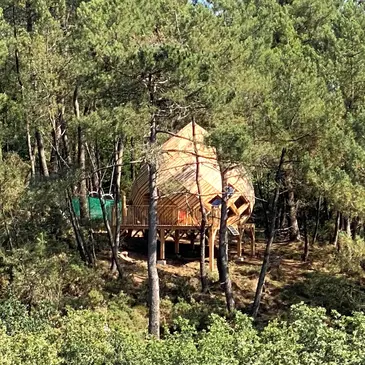 Nuit en Goutte d'Eau avec Spa à Nivillac Nuit en Goutte d'Eau avec Spa à Nivillac