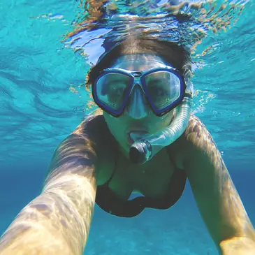 Snorkeling, département Ille et vilaine Snorkeling, département Ille et vilaine