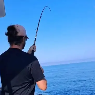 Pêche au gros en région PACA et Corse Pêche au gros en région PACA et Corse