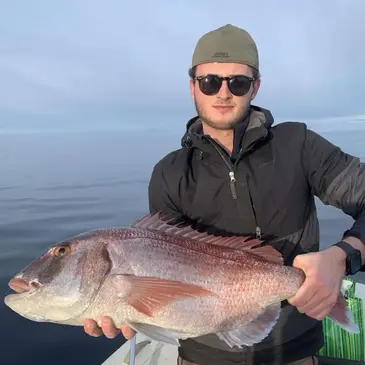 Pêche au Gros à Calvi en région PACA et Corse Pêche au Gros à Calvi en région PACA et Corse