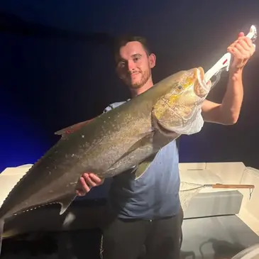 Sport Aquatique en région PACA et Corse Sport Aquatique en région PACA et Corse