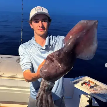 Pêche Sportive à Calvi en région PACA et Corse