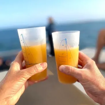 Balade en bateau proche Quiberon