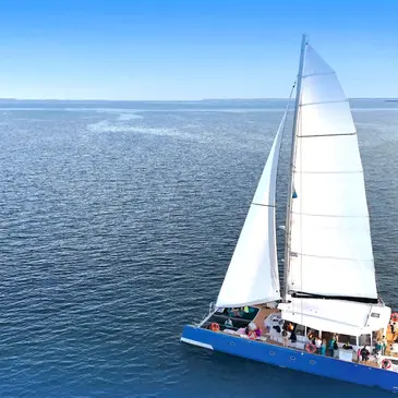 Balade en maxi-catamaran avec brunch dans la Baie de Quiberon en région Bretagne