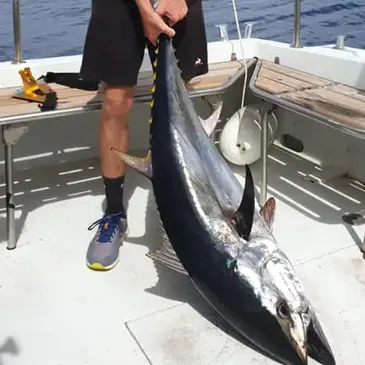 Pêche au gros proche Port Leucate Pêche au gros proche Port Leucate