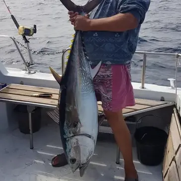 Pêche au Gros à Port Leucate en région Languedoc-Roussillon Pêche au Gros à Port Leucate en région Languedoc-Roussillon