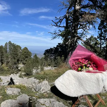 Week end en région Aquitaine