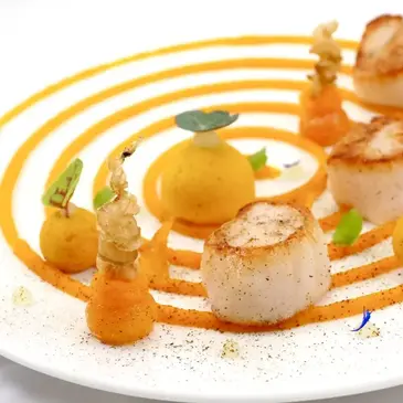 Réserver Spa, Massage et Soin du corps en Bourgogne Réserver Spa, Massage et Soin du corps en Bourgogne