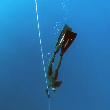 Baptême de plongée en région Pays-de-la-Loire