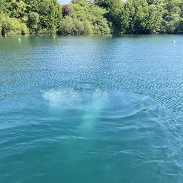 Brevet de Plongée Sous Marine proche Les Ponts-de-Cé, à 15 min d'Angers Brevet de Plongée Sous Marine proche Les Ponts-de-Cé, à 15 min d'Angers