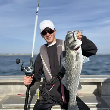 Pêche au gros, département Finistère Pêche au gros, département Finistère