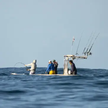 Pêche au gros en région Bretagne