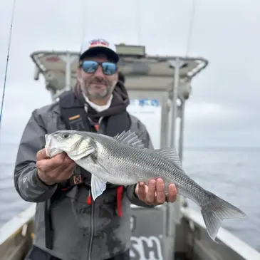 Réserver Pêche au gros en Bretagne