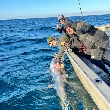 Pêche au Gros (requin ou thon) à Audierne