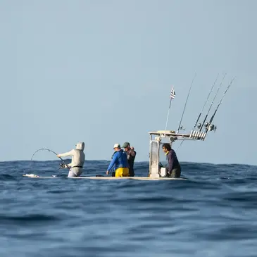 Pêche au gros en région Bretagne Pêche au gros en région Bretagne