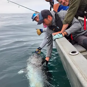 Finistère (29) Bretagne - Sport Aquatique