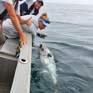 Audierne, Finistère (29) - Pêche au gros Audierne, Finistère (29) - Pêche au gros