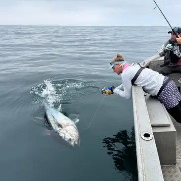 Pêche au gros proche Audierne