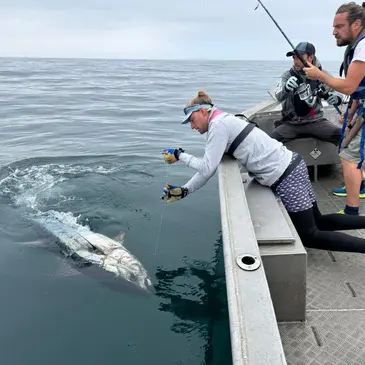 Pêche au Gros (requin ou thon) à Audierne en région Bretagne Pêche au Gros (requin ou thon) à Audierne en région Bretagne