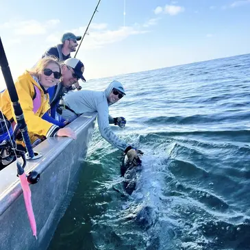 Pêche au Gros (requin ou thon) à Audierne en région Bretagne Pêche au Gros (requin ou thon) à Audierne en région Bretagne