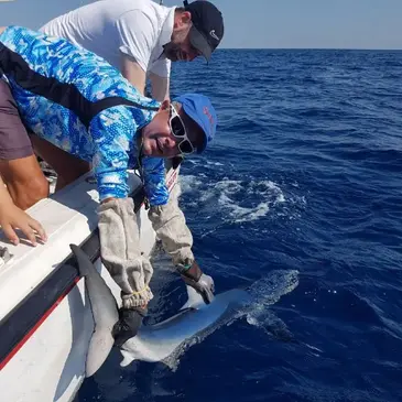 Sport Aquatique en région Bretagne Sport Aquatique en région Bretagne