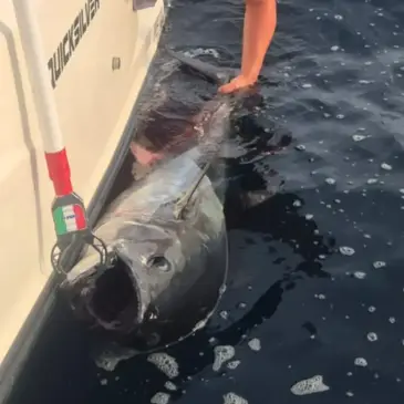 Anglet, à 15 min de Bayonne, Pyrénées atlantiques (64) - Pêche au gros
