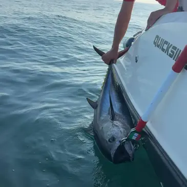 Pêche au gros proche Anglet, à 15 min de Bayonne