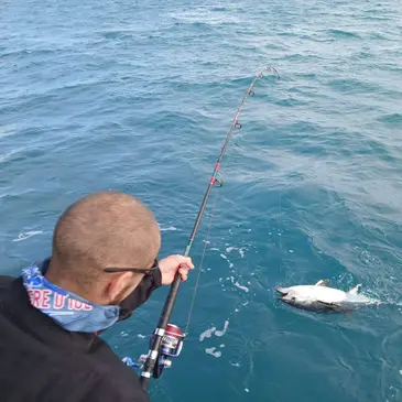 Bouches du Rhône (13) PACA et Corse - Sport Aquatique