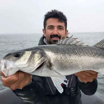 Pêche au gros, département Finistère Pêche au gros, département Finistère