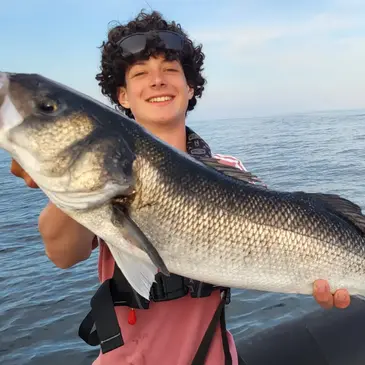 Loctudy, Finistère (29) - Pêche au gros Loctudy, Finistère (29) - Pêche au gros