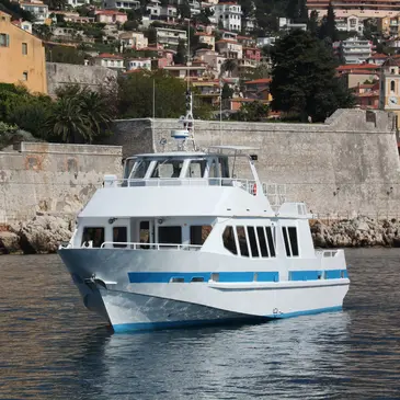 Balade en Bateau pour voir les Dauphins, département Alpes Maritimes
