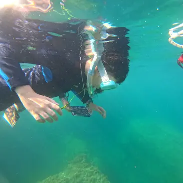 Martigues, Bouches du Rhône (13) - Snorkeling