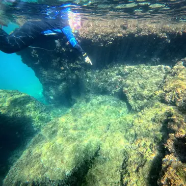 Réserver Snorkeling département Bouches du Rhône