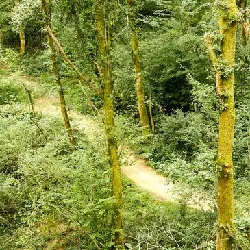 Arcangues, à 15 min de Biarritz, Pyrénées atlantiques (64) - Weekend et Hébergement Insolite