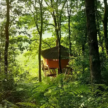 Nuit en Cabane dans les Arbres à Arcangues près de Biarritz en région Aquitaine
