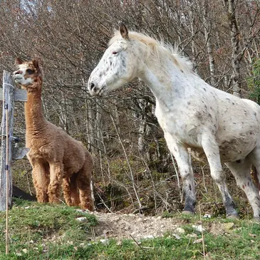 Weekend et Hébergement Insolite en région Rhône-Alpes