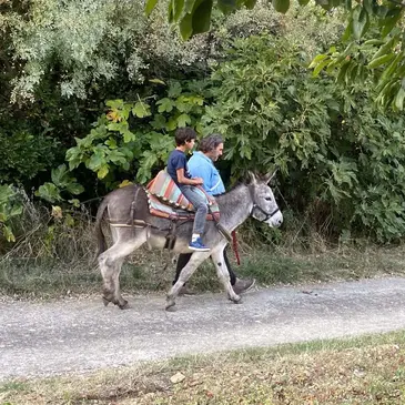 Weekend et Hébergement Insolite proche La Tour-sur-Orb