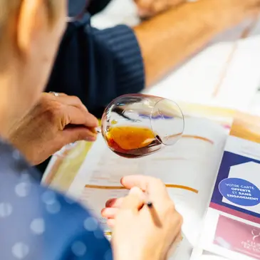 Cours d'Œnologie à Pau