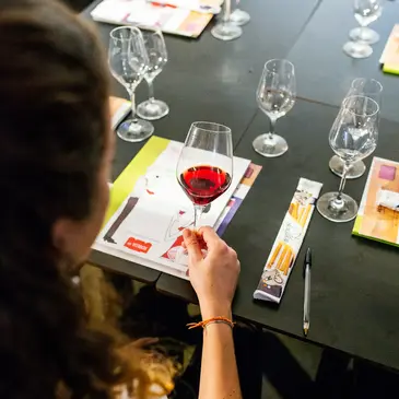 Cours d'Œnologie à Pau en région Aquitaine