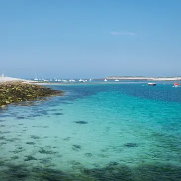 Balade en Bateau pour voir les Dauphins proche Camaret-sur-Mer Balade en Bateau pour voir les Dauphins proche Camaret-sur-Mer