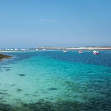 Balade en bateau proche Camaret-sur-Mer
