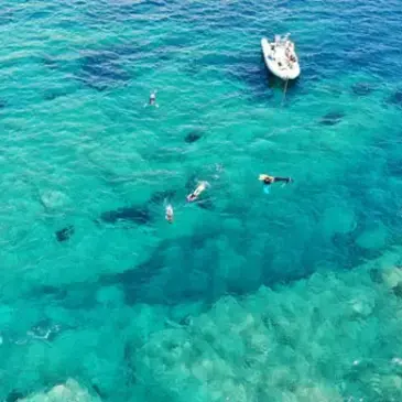 Snorkeling, département Corse du Sud