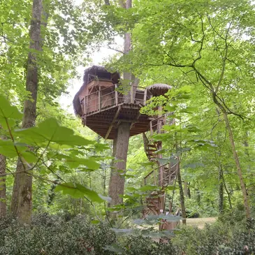 Cabane dans les Arbres aux Garennes-sur-Loire Cabane dans les Arbres aux Garennes-sur-Loire