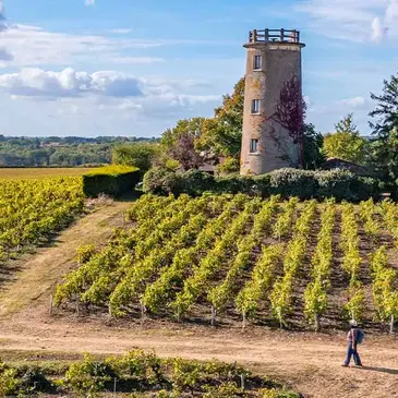 Week-end Œnologique à l'Hôtel Rivella, Clisson - Vignoble Nantais Week-end Œnologique à l'Hôtel Rivella, Clisson - Vignoble Nantais
