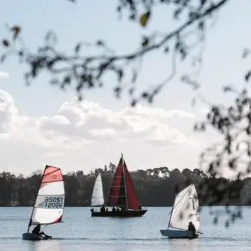 Sucé-sur-Erdre, à 20 min de Nantes, Loire Atlantique (44) - Balade en bateau
